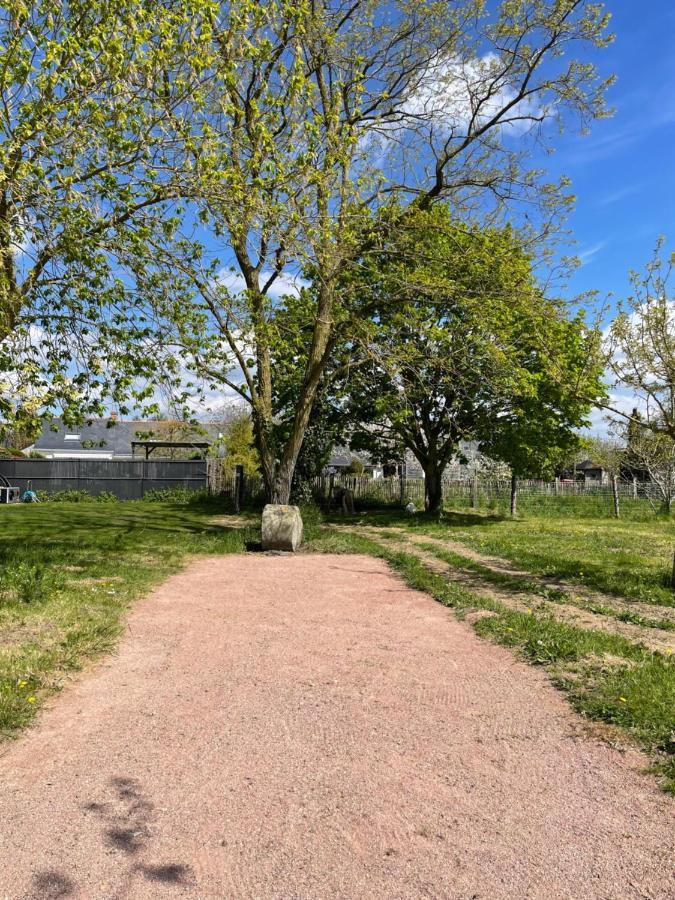 Gite Au Gre De La Loire Piscine Et Spa Saint-Mathurin  Zewnętrze zdjęcie
